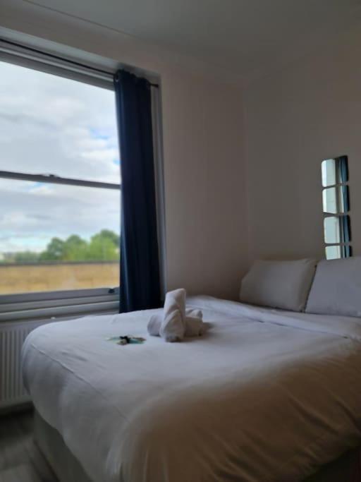 Chic & Modern Studio In Caledonian Rd 伦敦 外观 照片